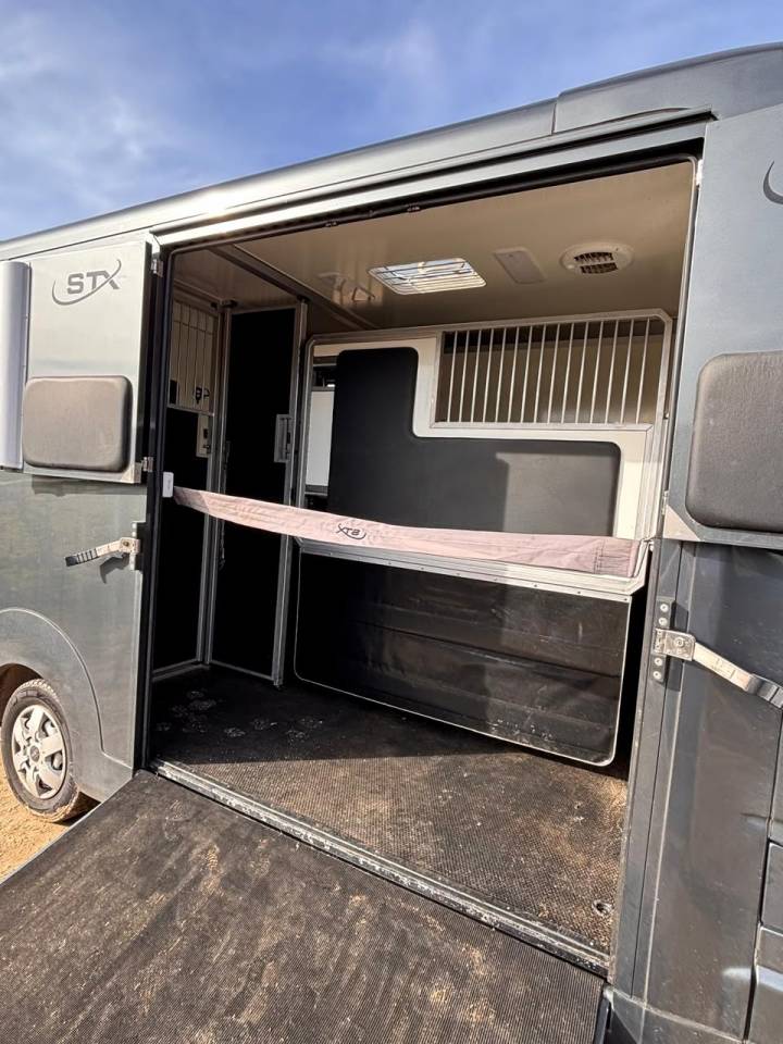 Kleine paardenvrachtwagen (B rijbewijs) Opel Movano 2021 Tweedehands