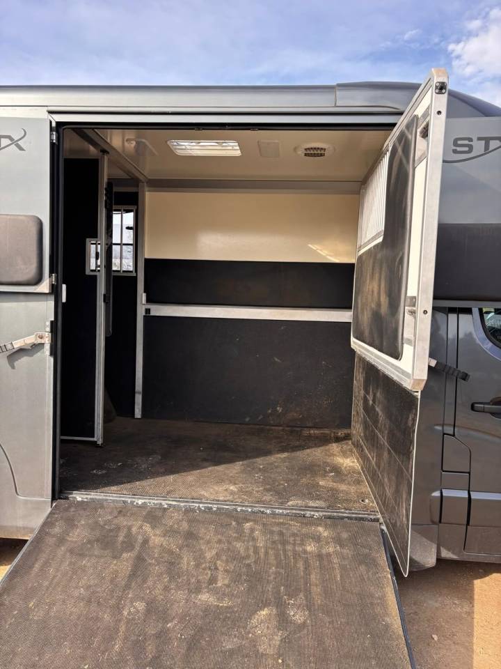 Kleine paardenvrachtwagen (B rijbewijs) Opel Movano 2021 Tweedehands
