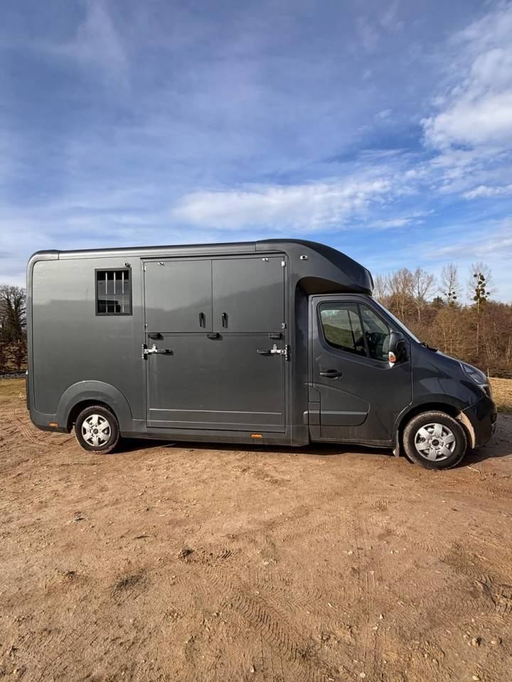 Kleine paardenvrachtwagen (B rijbewijs) Opel Movano 2021 Tweedehands