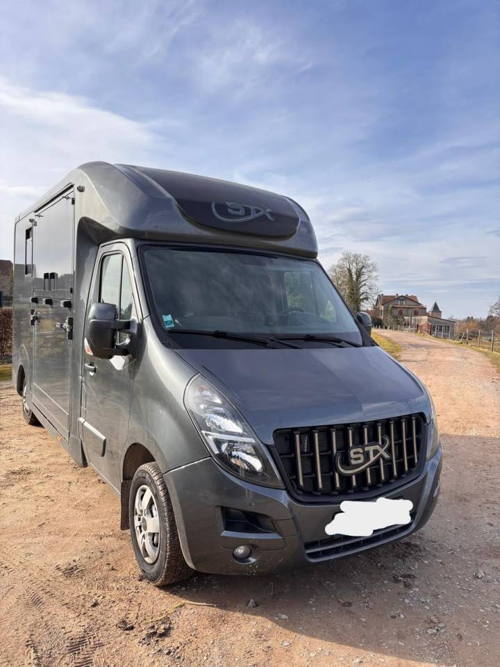 Kleine paardenvrachtwagen (B rijbewijs) Opel Movano 2021 Tweedehands