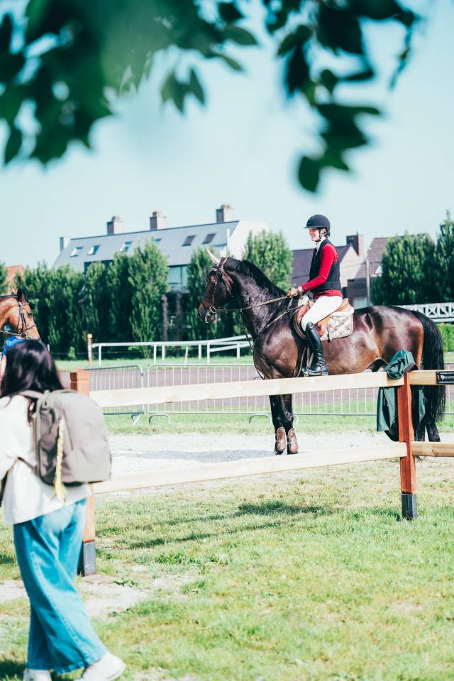 Schoolmaster Figaro 