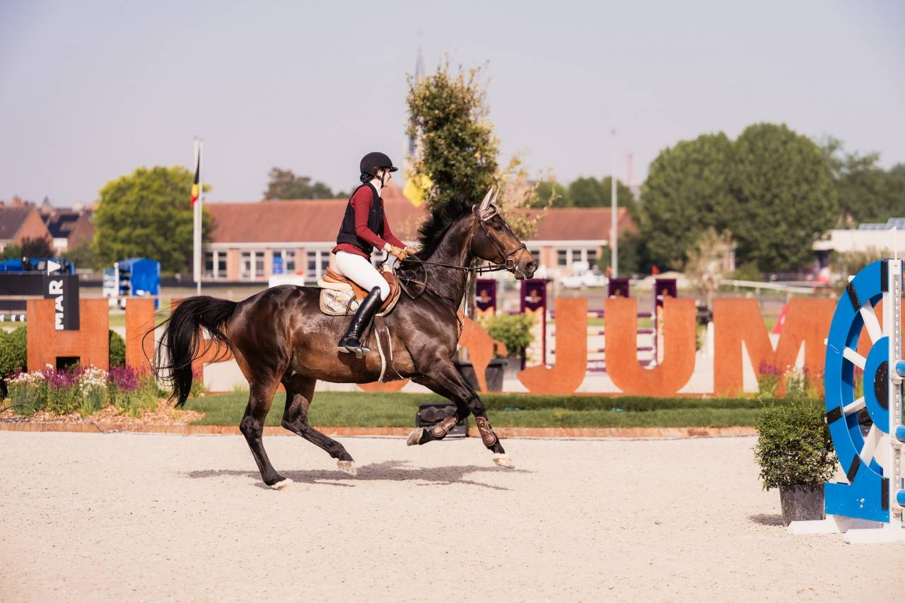 Schoolmaster Figaro 