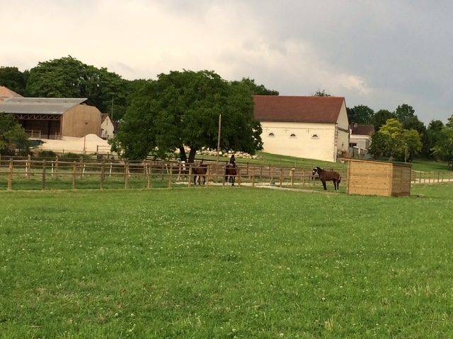 Eigenaren stal Koop Vienne