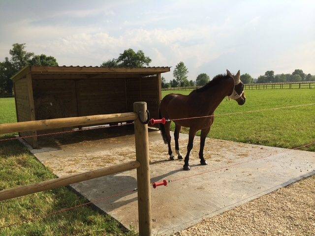 Eigenaren stal Koop Vienne