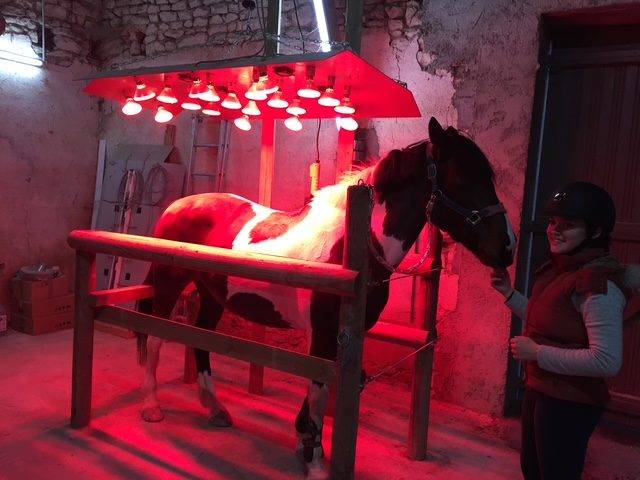 Eigenaren stal Koop Vienne