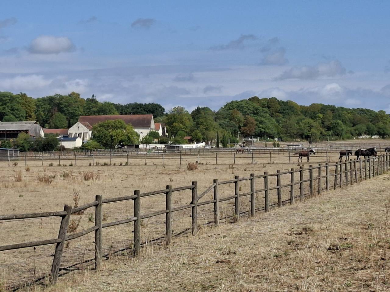 Eigenaren stal Koop Vienne