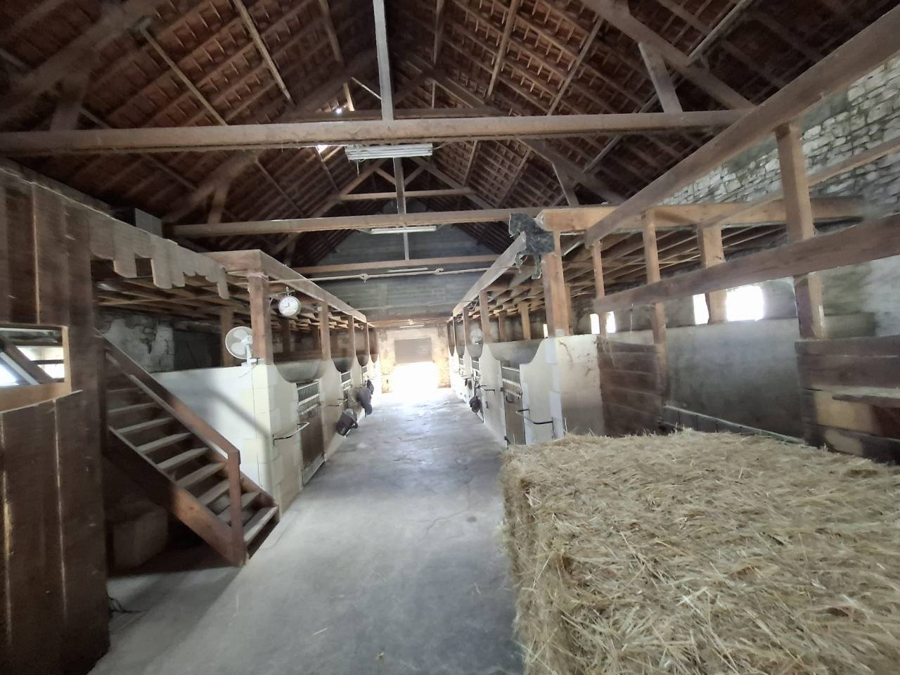 Eigenaren stal Koop Vienne