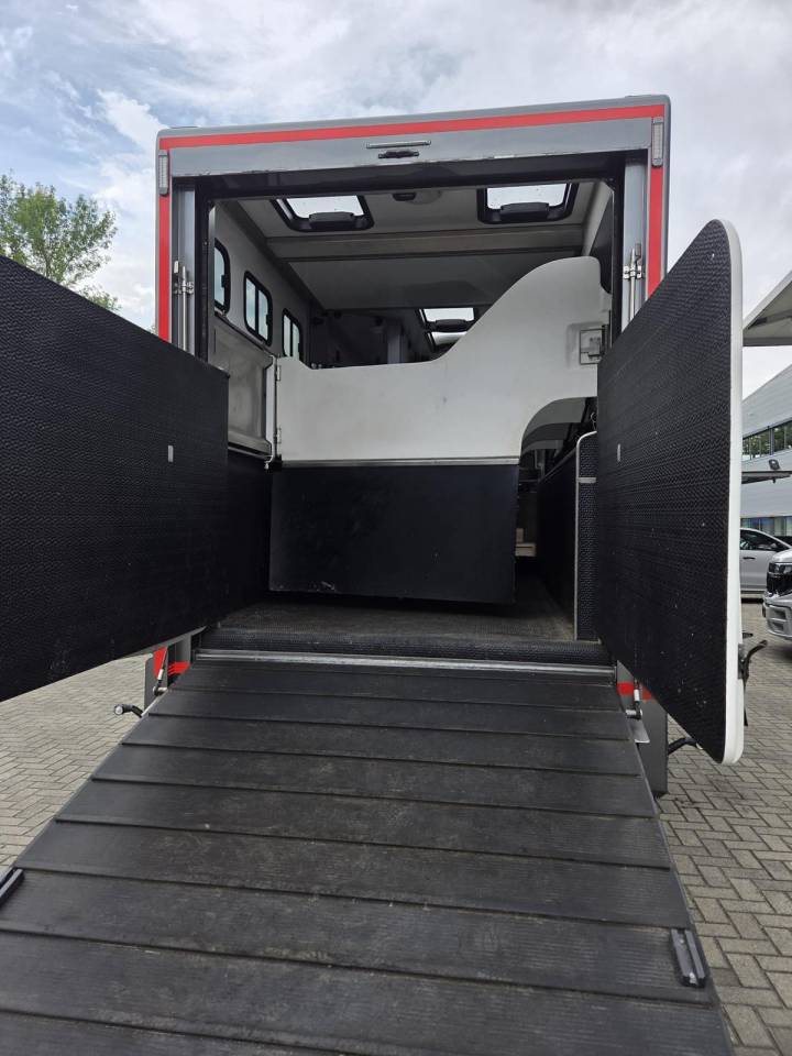 Zware paardenvrachtwagen (groot rijbewijs) Andere merken  2019 Tweedehands