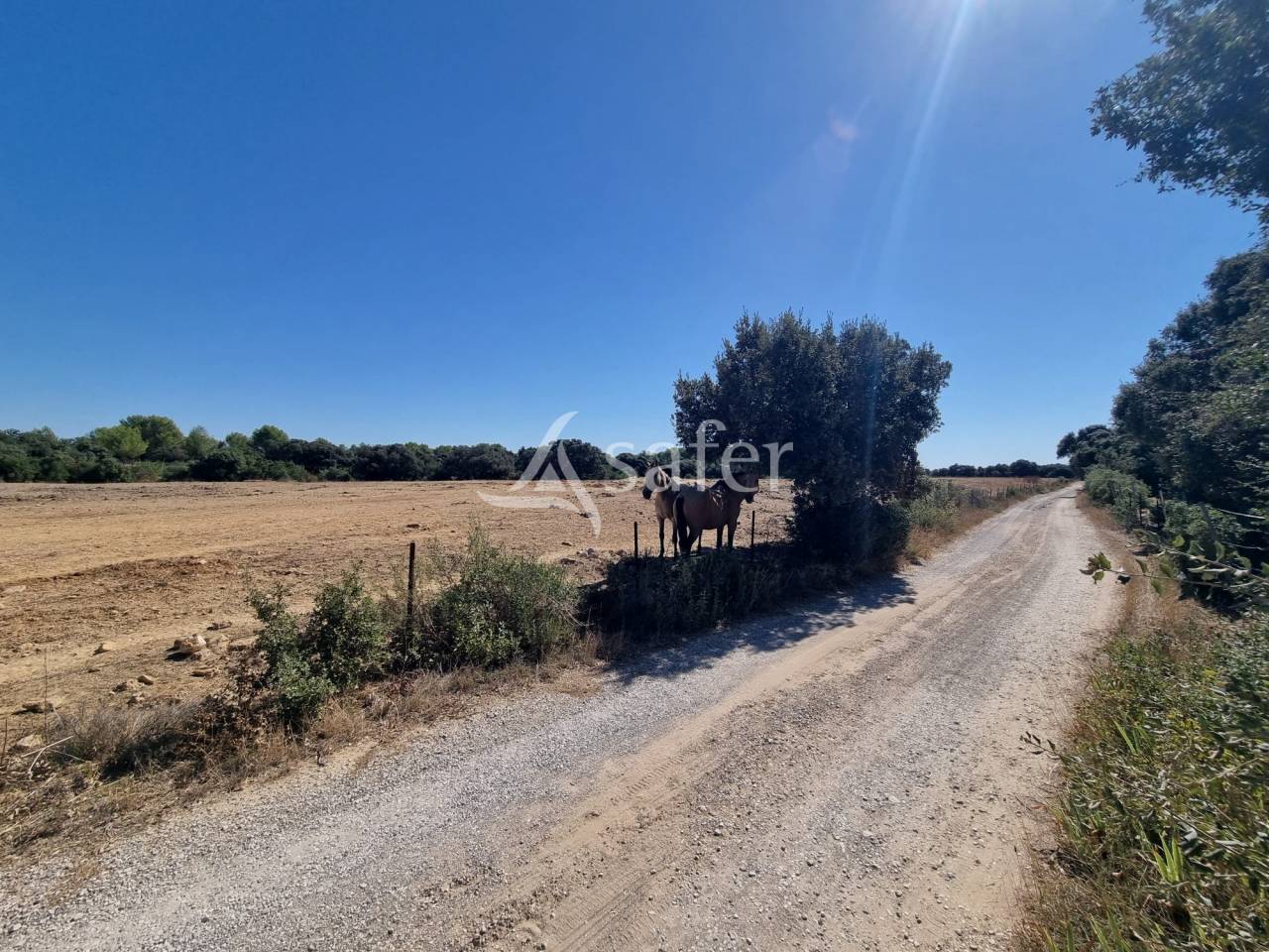 Ander plattelands vastgoed Koop H&eacute;rault