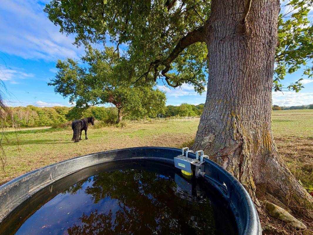Hippisch vastgoed Koop Creuse
