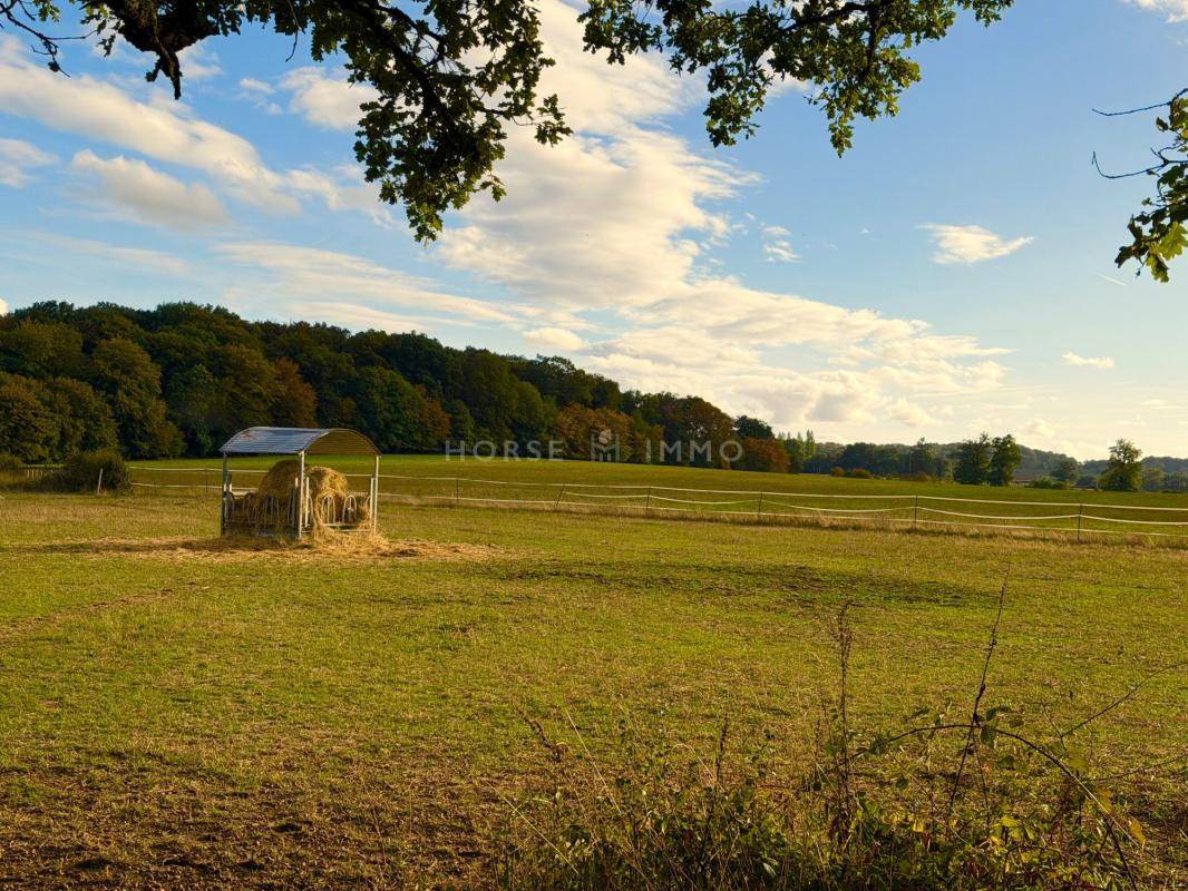Hippisch vastgoed Koop Creuse