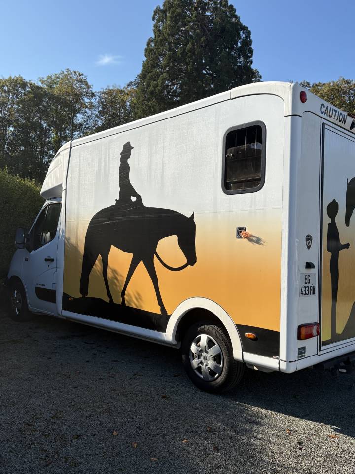 Kleine paardenvrachtwagen (B rijbewijs) Paragan Equistro  2016 Tweedehands