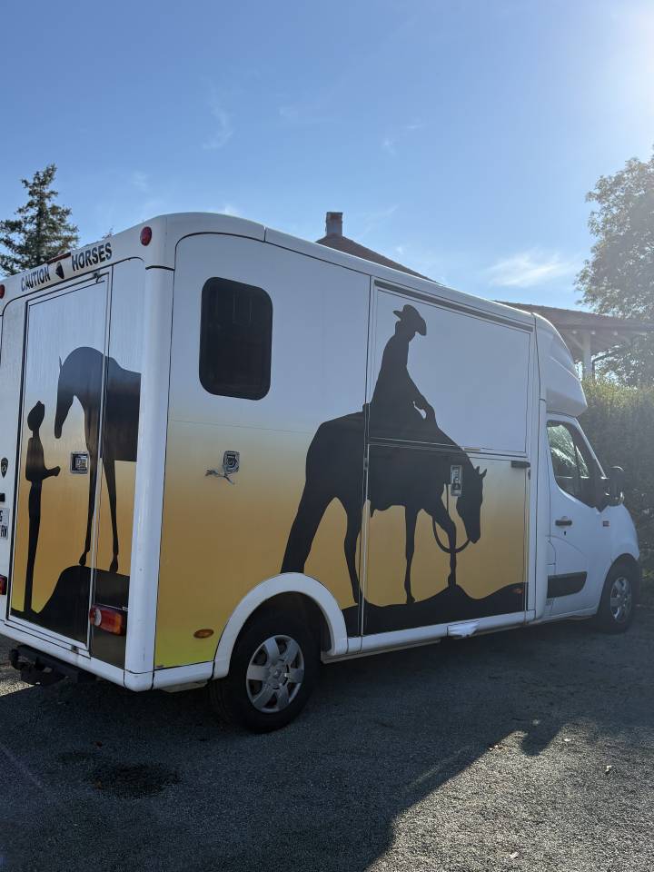Kleine paardenvrachtwagen (B rijbewijs) Paragan Equistro  2016 Tweedehands