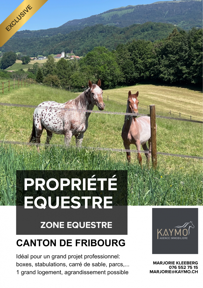 Paarden boerderij Koop Fribourg