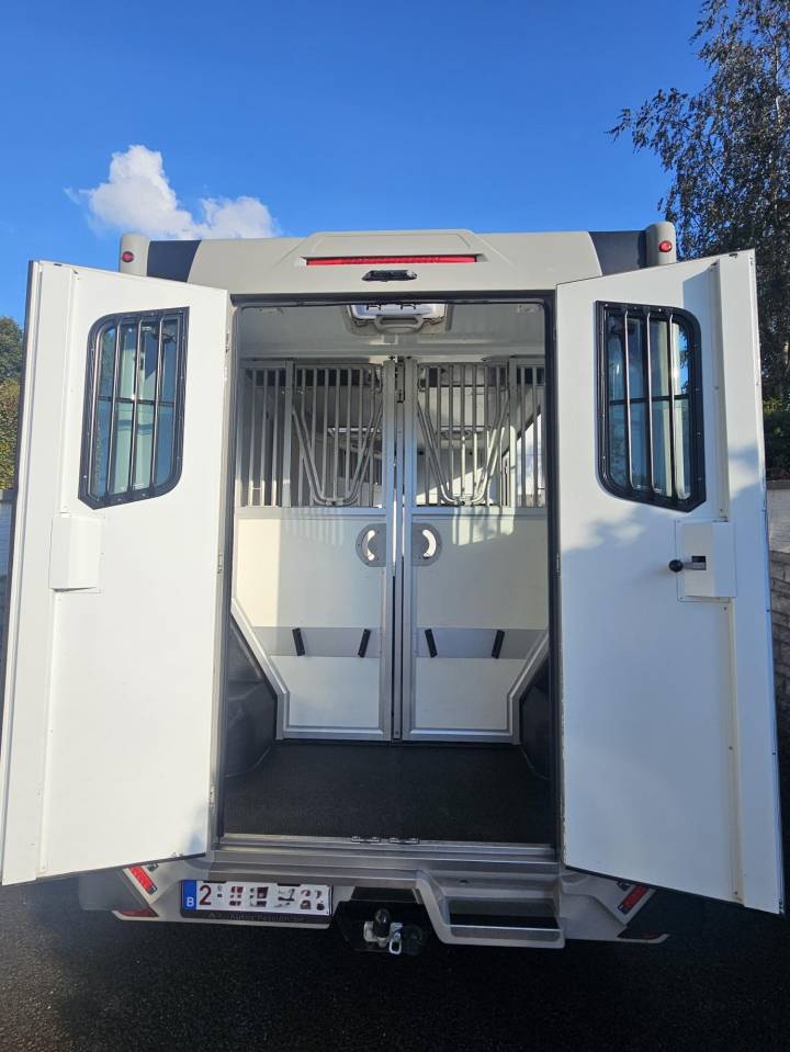 Kleine paardenvrachtwagen (B rijbewijs) Theault Switch 2021 Tweedehands