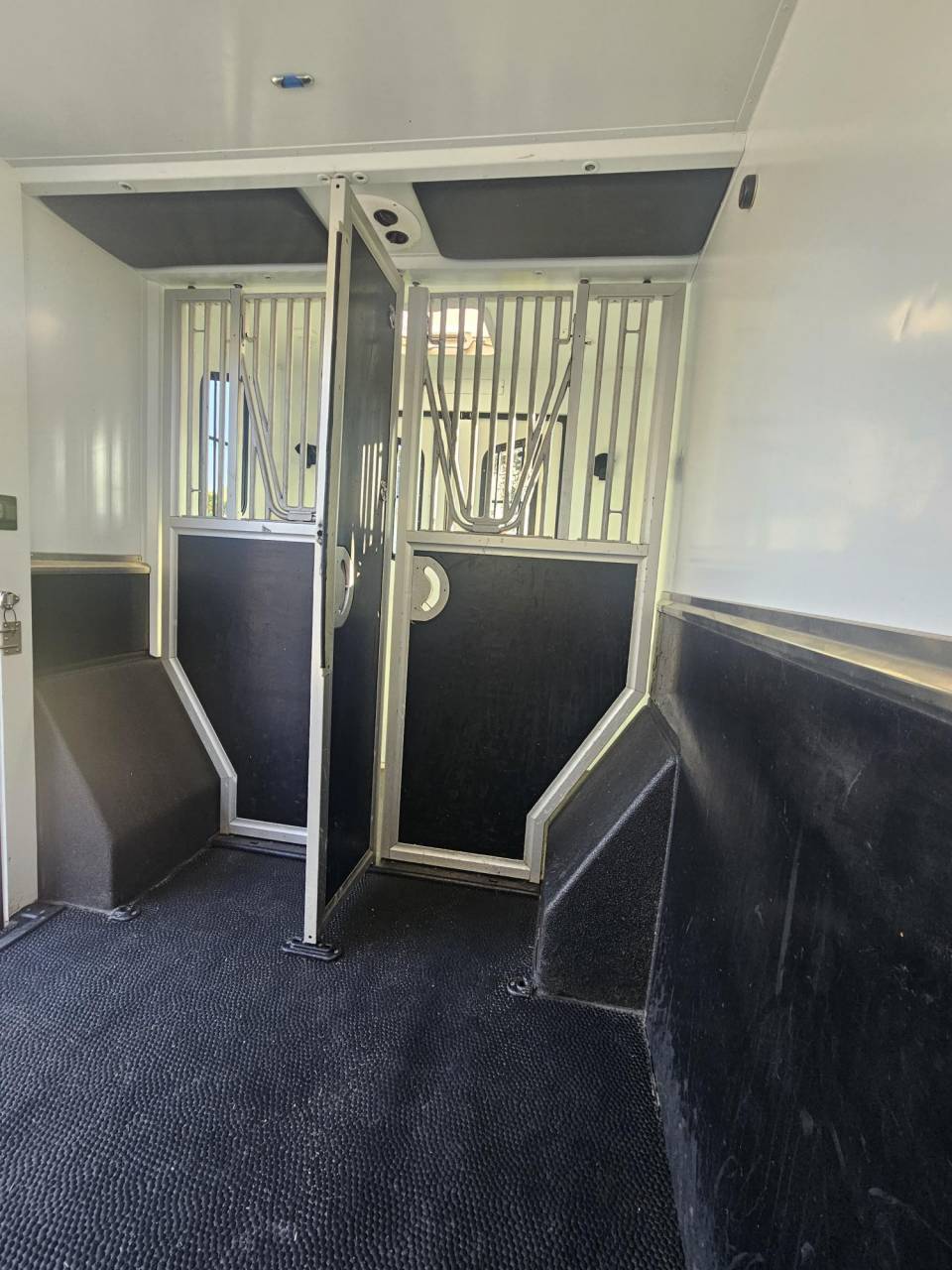 Kleine paardenvrachtwagen (B rijbewijs) Theault Switch 2021 Tweedehands