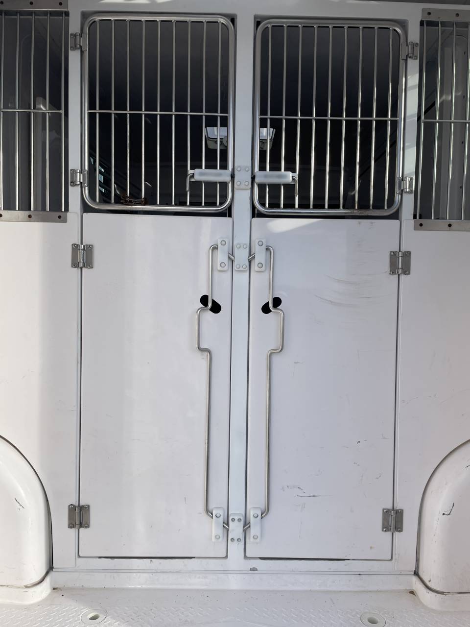 Kleine paardenvrachtwagen (B rijbewijs) Barbot Ducato 2019 Tweedehands