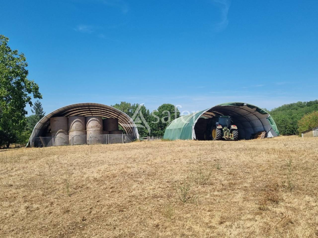 Schapen exploitatie Koop Lot