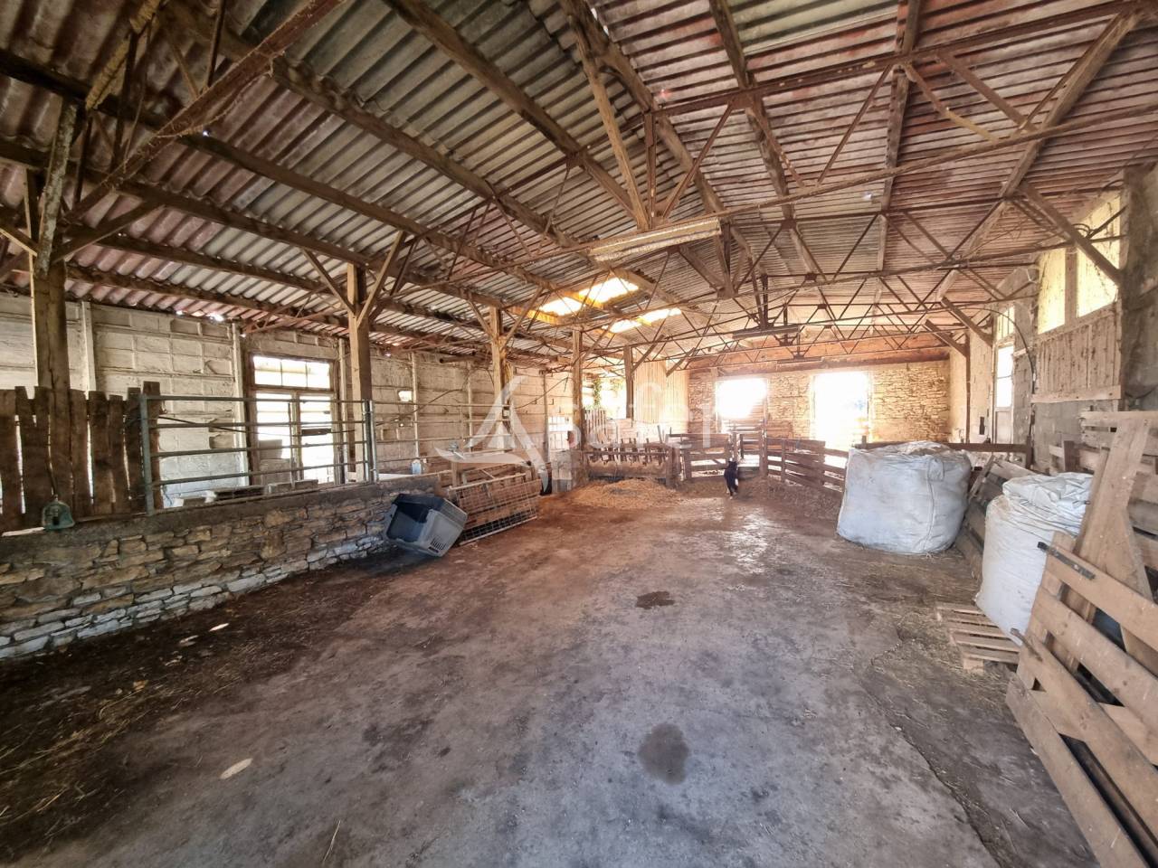 Schapen exploitatie Koop Lot