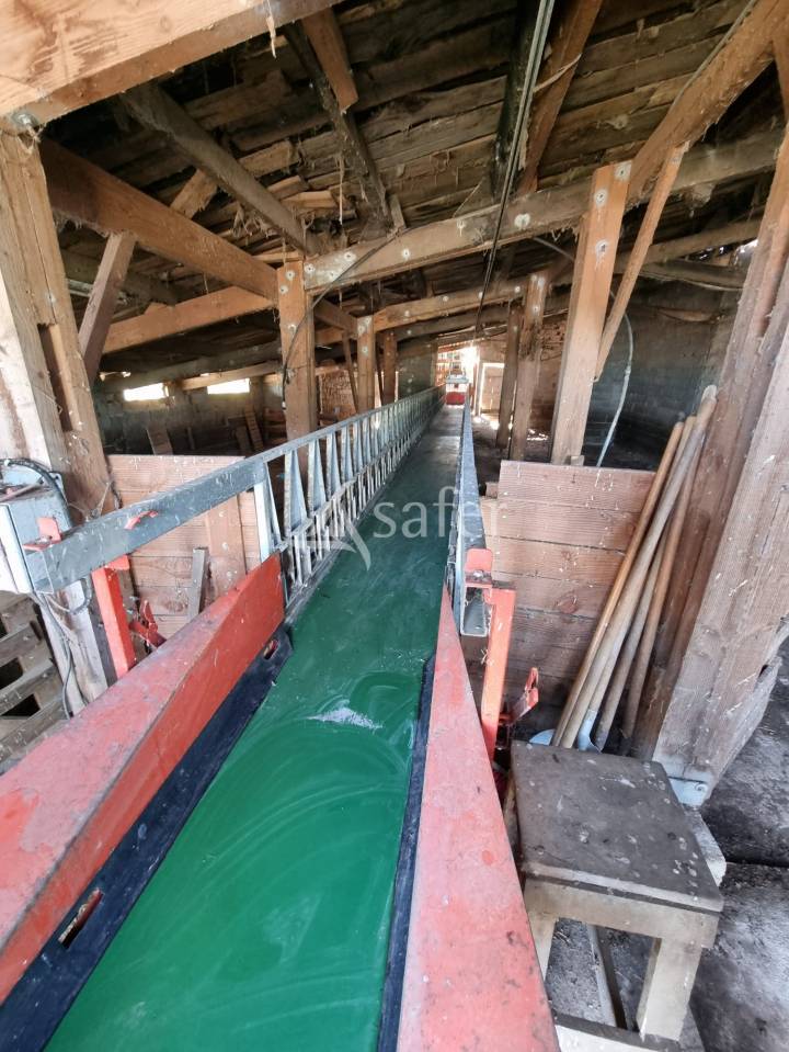 Schapen exploitatie Koop Lot