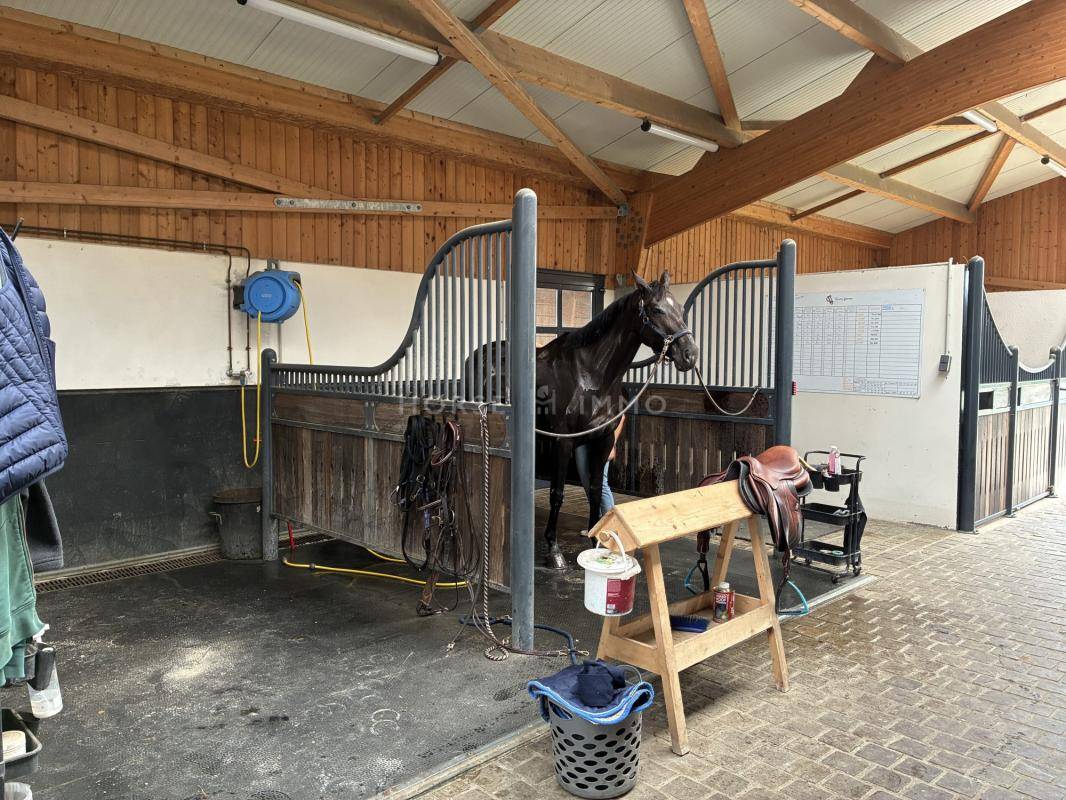 Hippisch vastgoed Koop Calvados