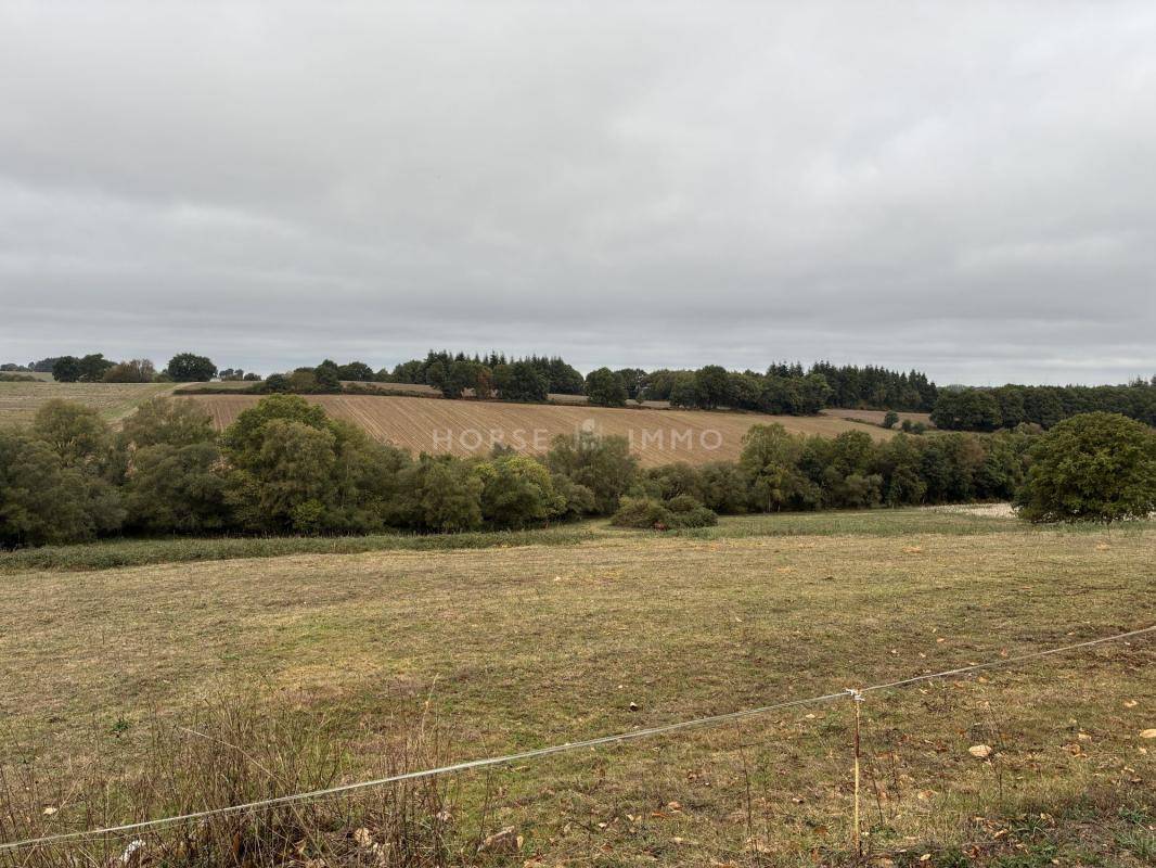 Hippisch vastgoed Koop Morbihan