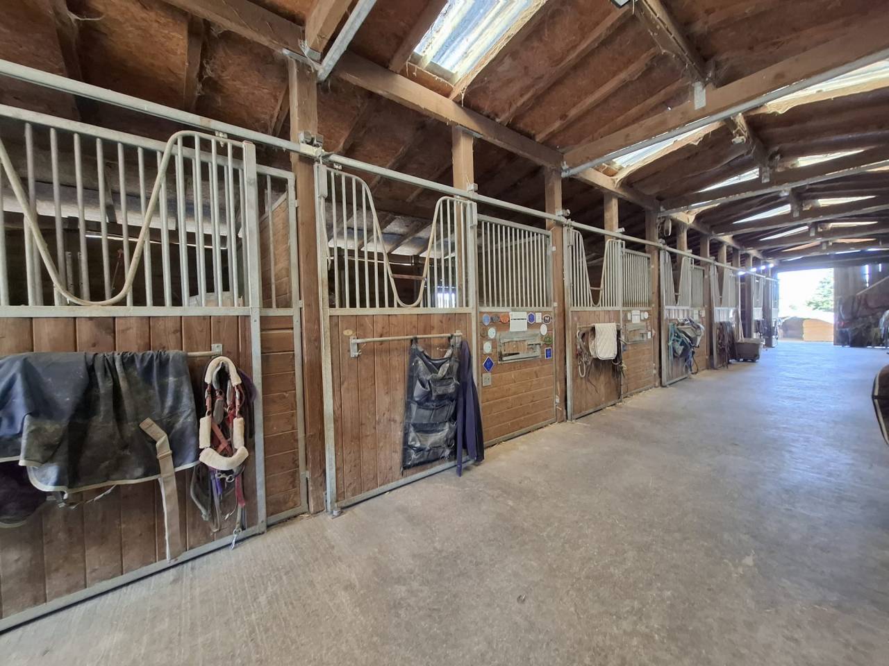 Hippisch vastgoed Koop Corr&egrave;ze