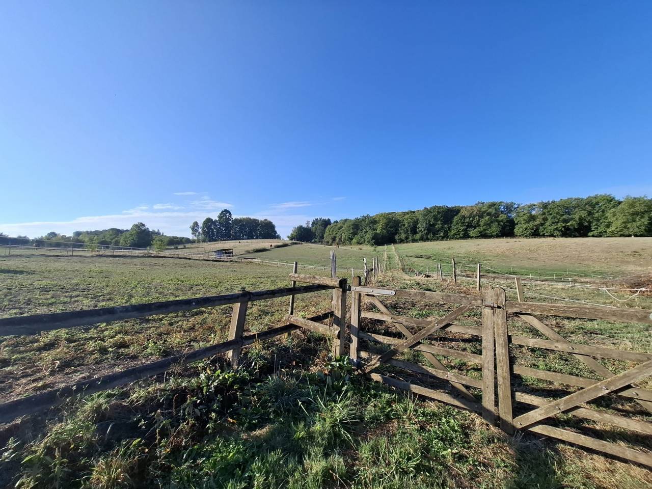 Hippisch vastgoed Koop Corr&egrave;ze