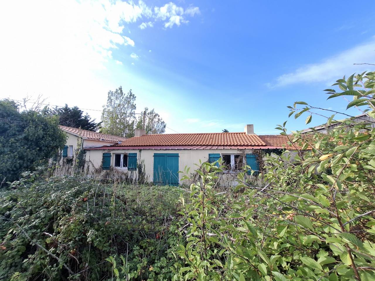Paarden accommodatie Koop Vend&eacute;e