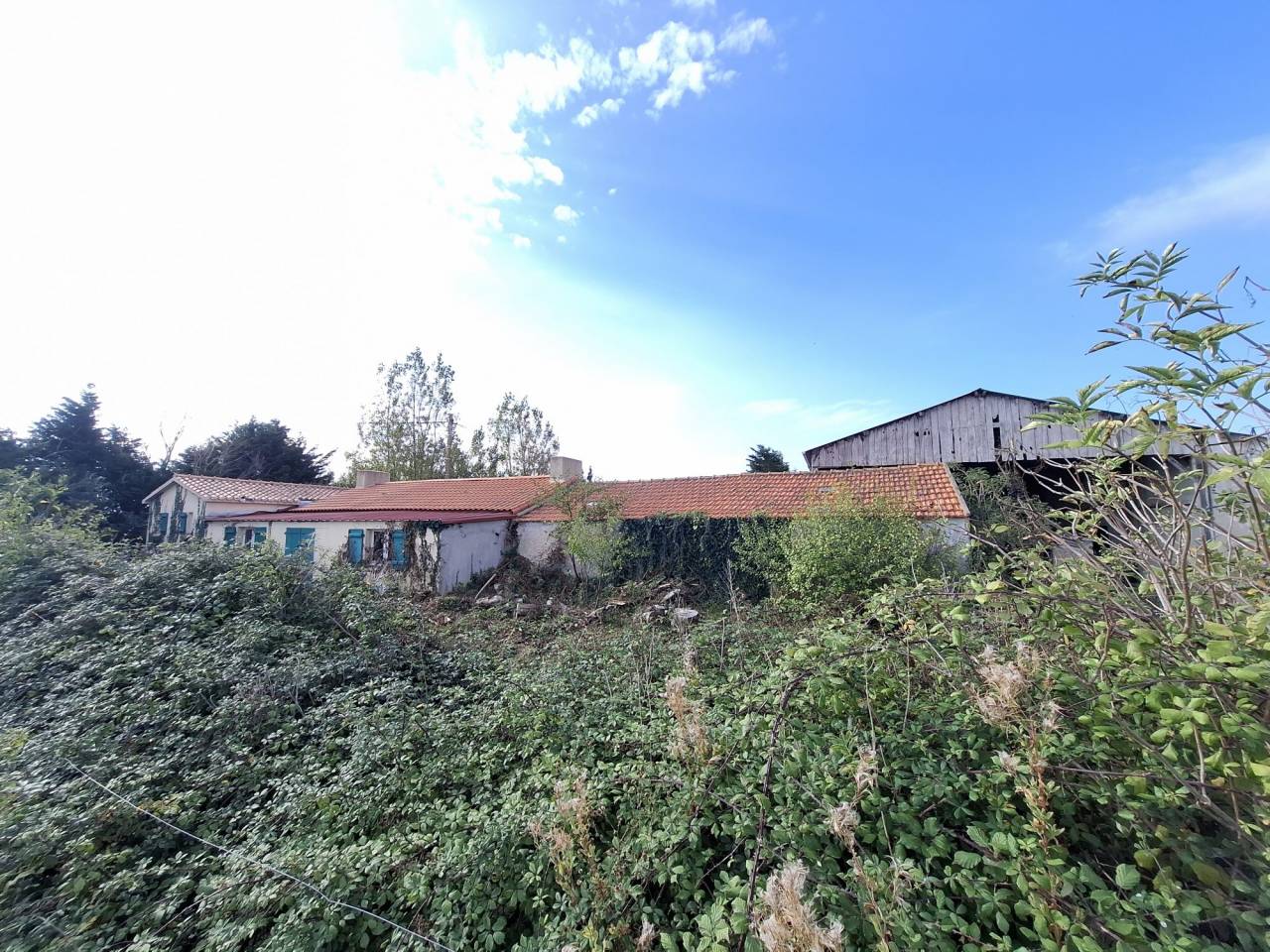 Paarden accommodatie Koop Vend&eacute;e