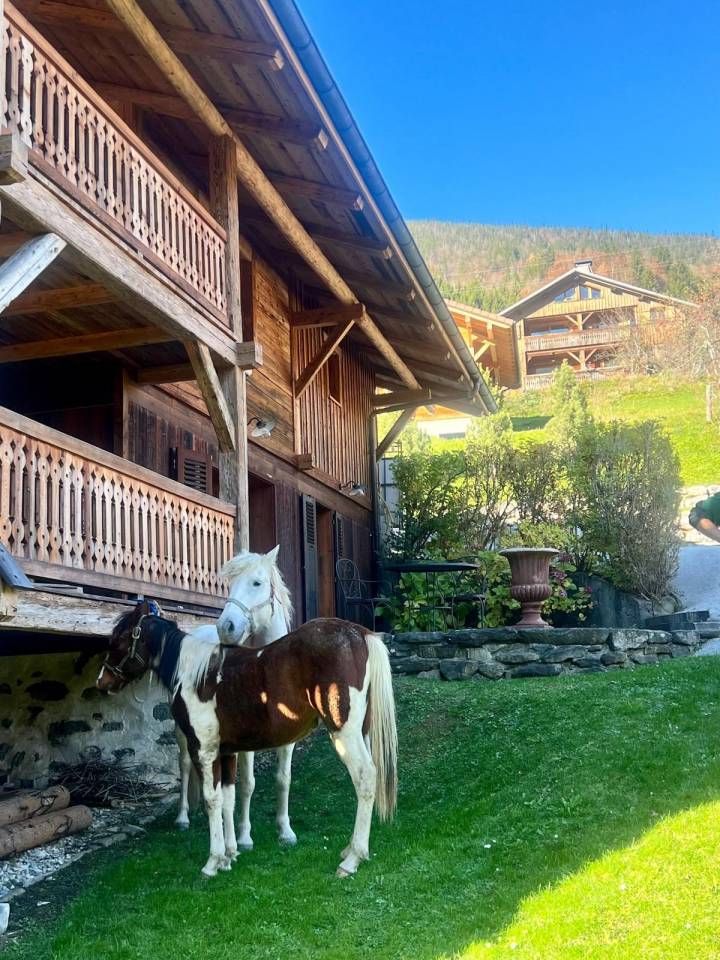 Hippisch vastgoed Koop Haute-Savoie