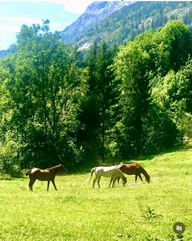 Hippisch vastgoed Koop Haute-Savoie