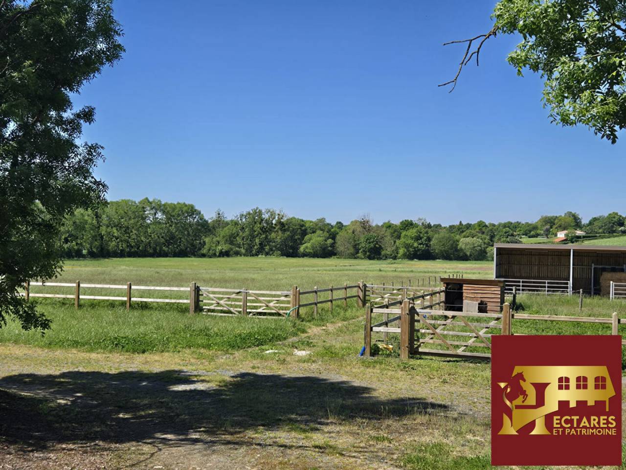 Paarden accommodatie Koop Vend&eacute;e