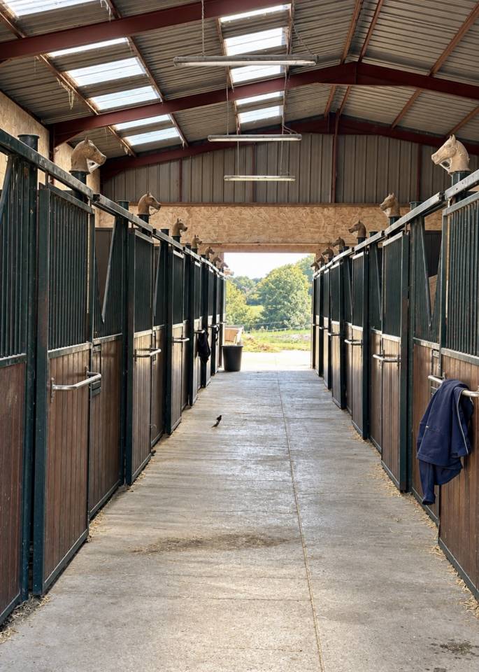 Eigenaren stal Koop Ain