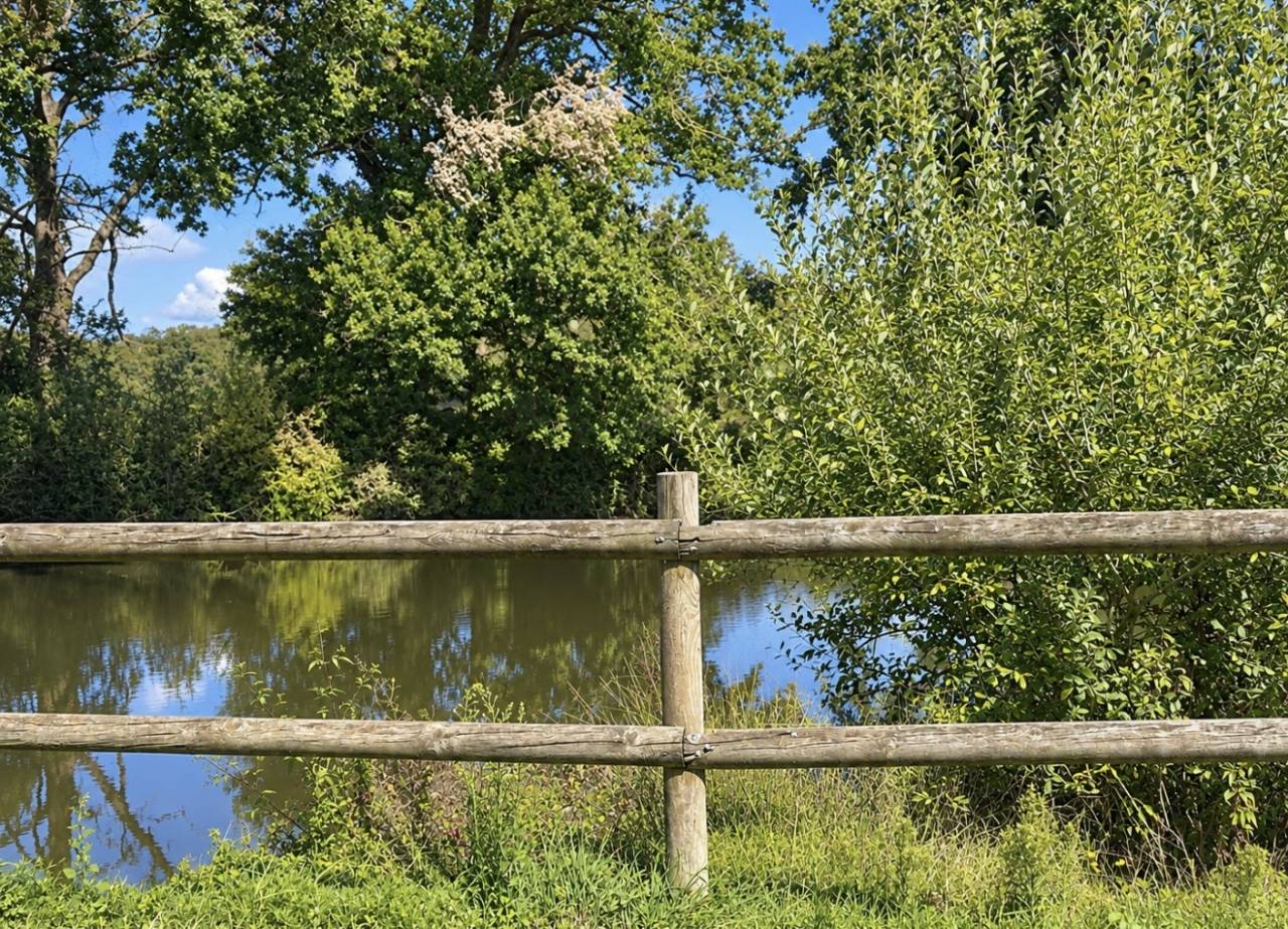 Eigenaren stal Koop Ain