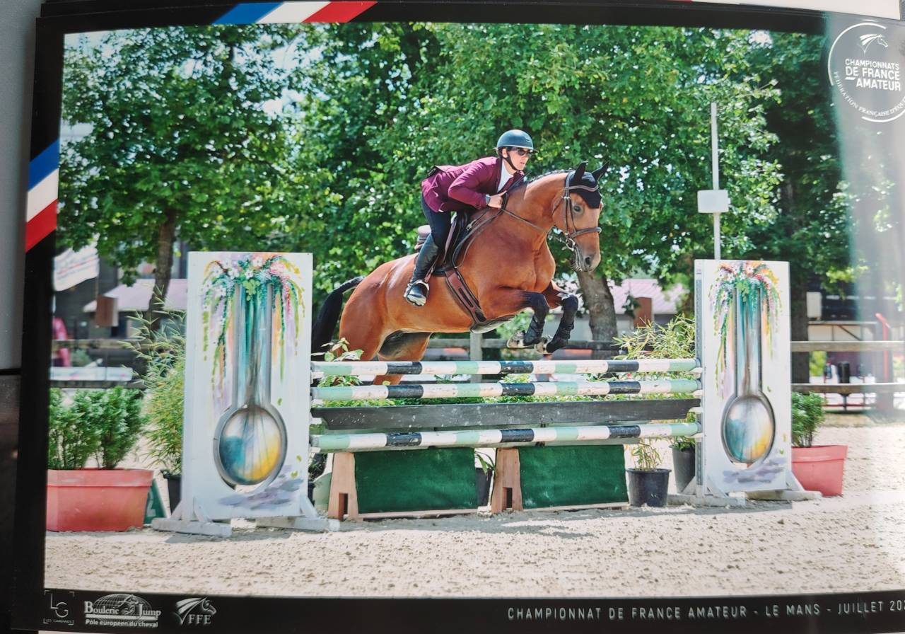 Merrie Selle Fran&ccedil;ais Te koop 2018 Donker bruin / bai ,  monte bellini