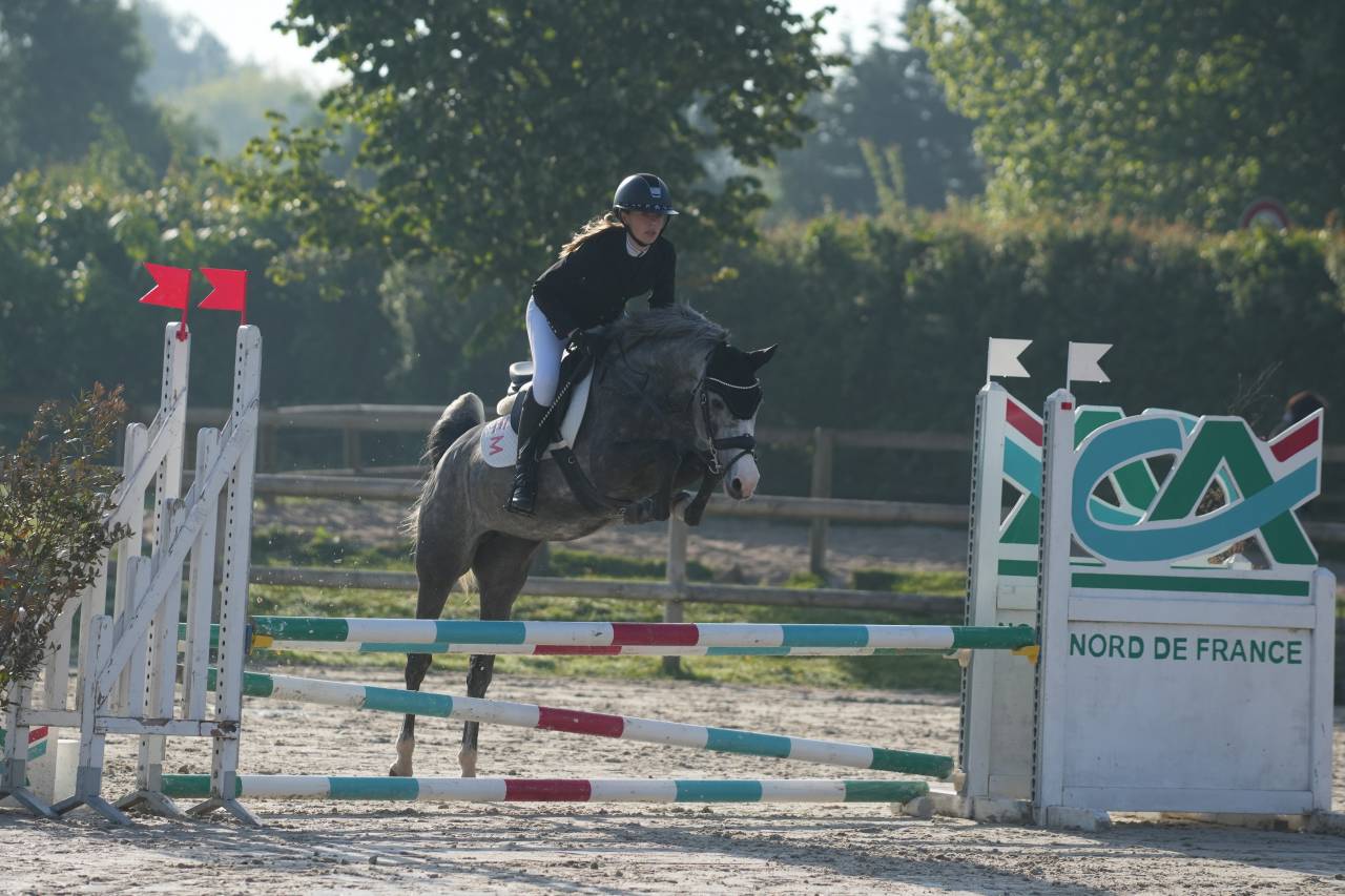 Merrie Andere pony rassen Te koop 2022 Schimmel ,  AROM PP