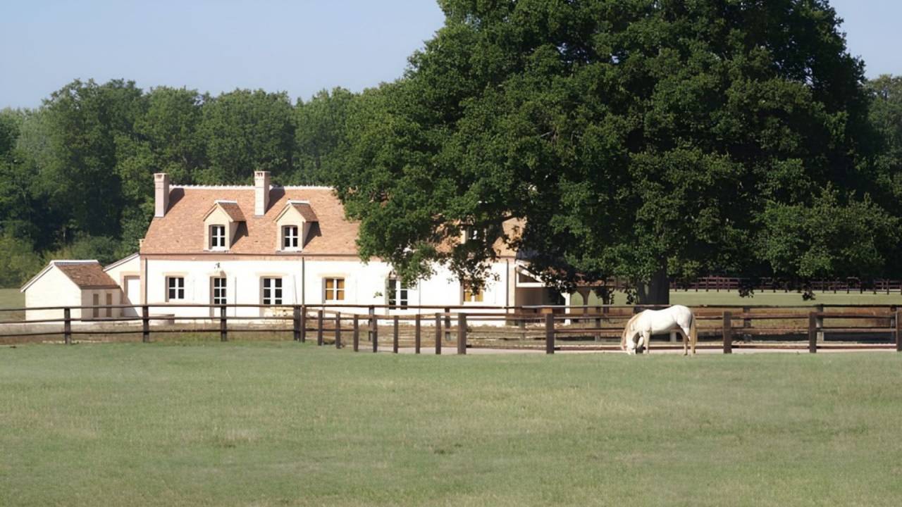 Hippisch vastgoed Koop Loir-et-Cher