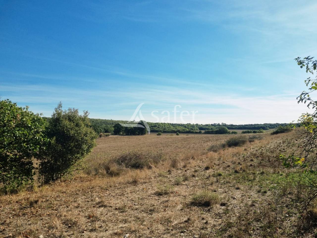 Landbouw bedrijf Koop Gard
