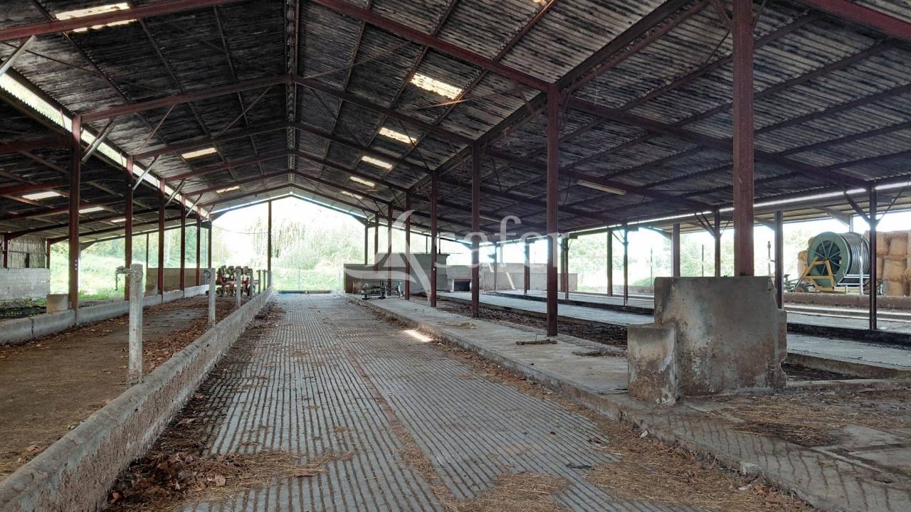 Schapen exploitatie Koop Vienne