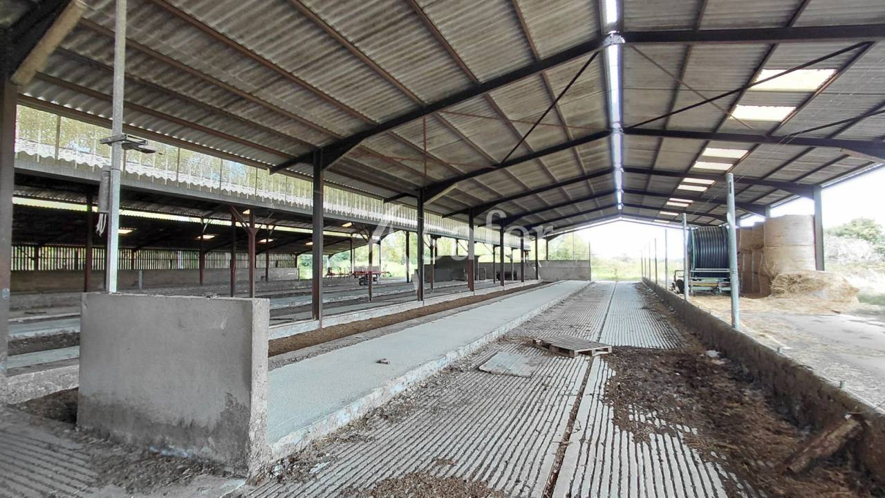 Schapen exploitatie Koop Vienne