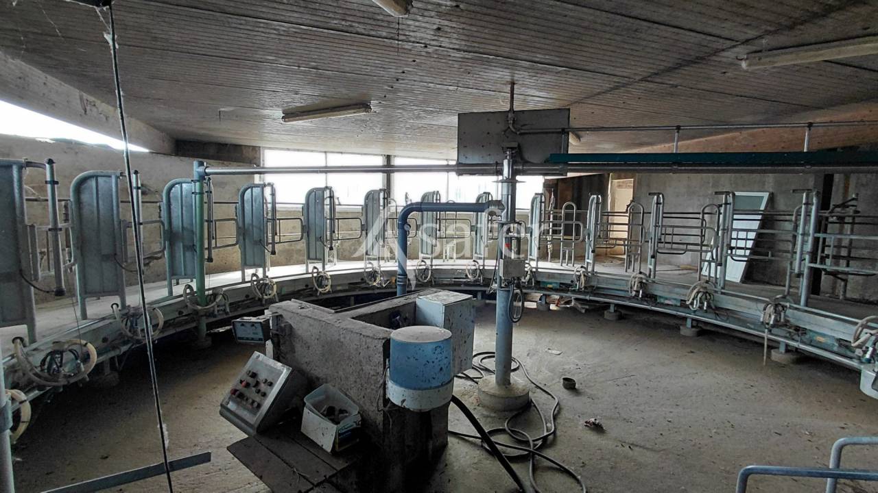 Schapen exploitatie Koop Vienne