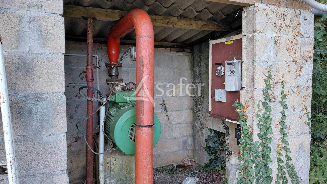 Schapen exploitatie Koop Vienne