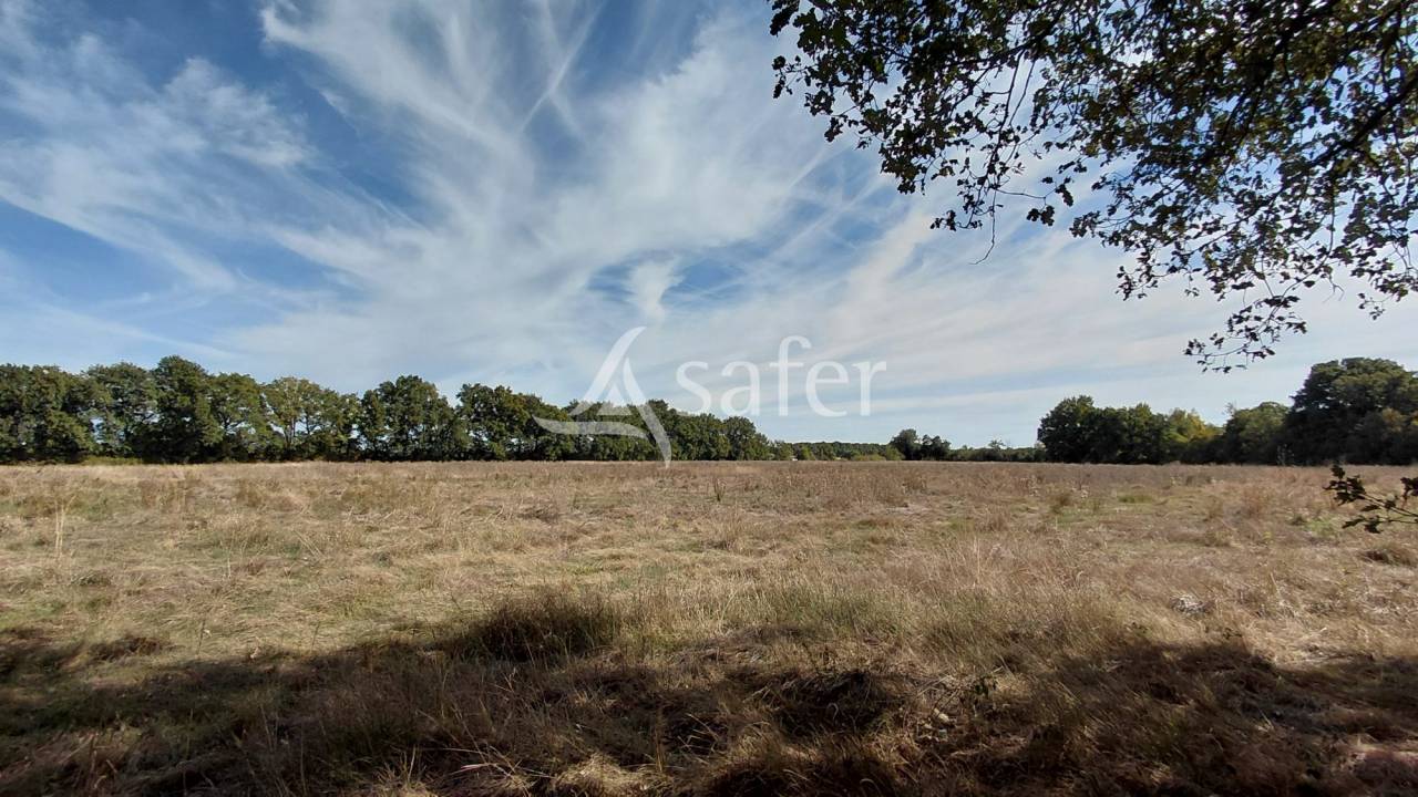 Landbouw bedrijf Koop Vienne