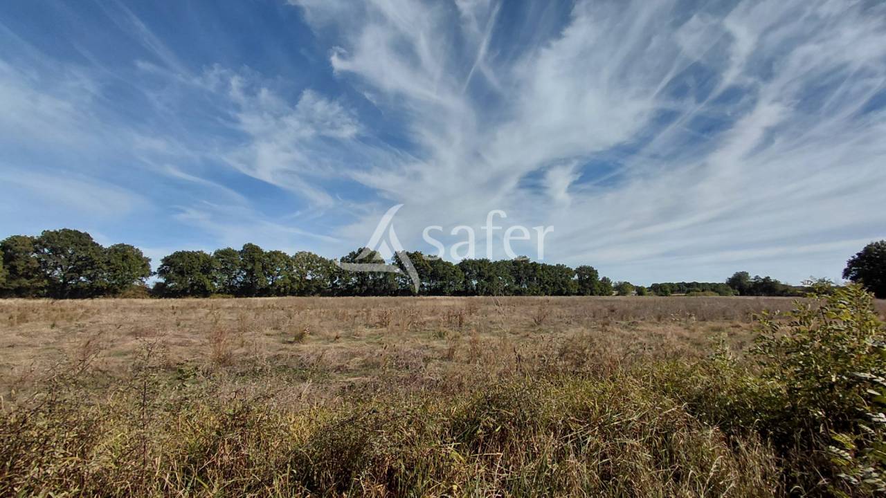 Landbouw bedrijf Koop Vienne