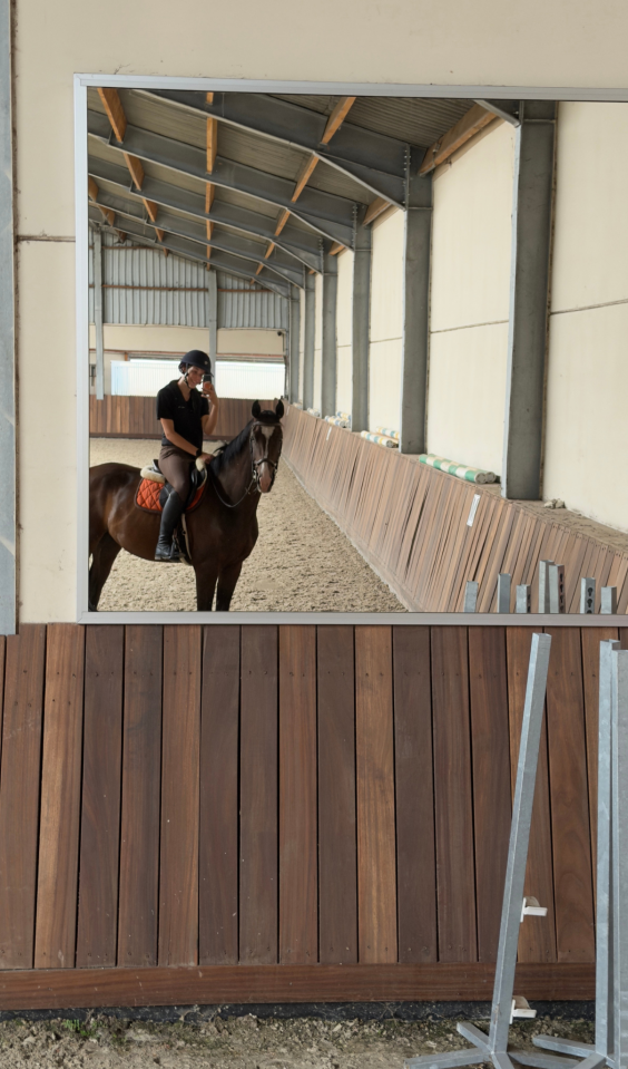 Talentvolle 3 jarige dressuur ruin