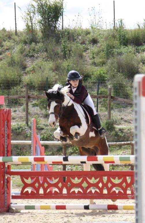 Ruin Franse rijpony PFS Te koop 2020 Bont