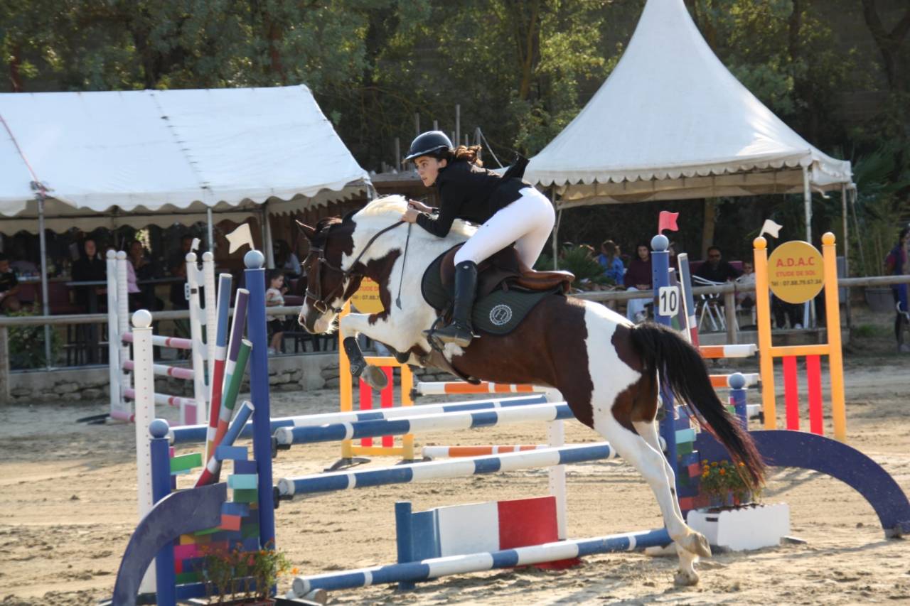 Ruin Franse rijpony PFS Te koop 2020 Bont