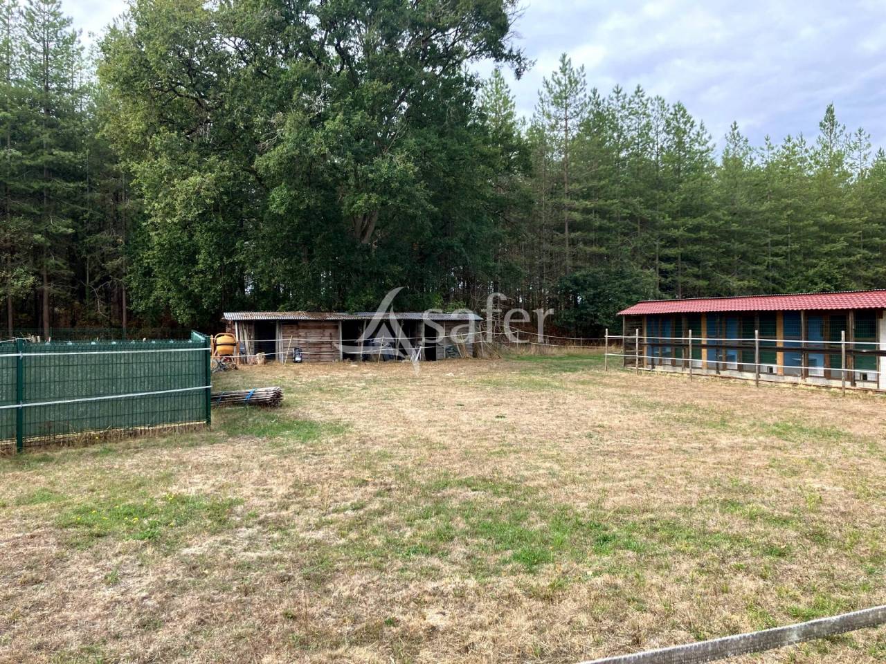 Landbouw bedrijf Koop Loiret