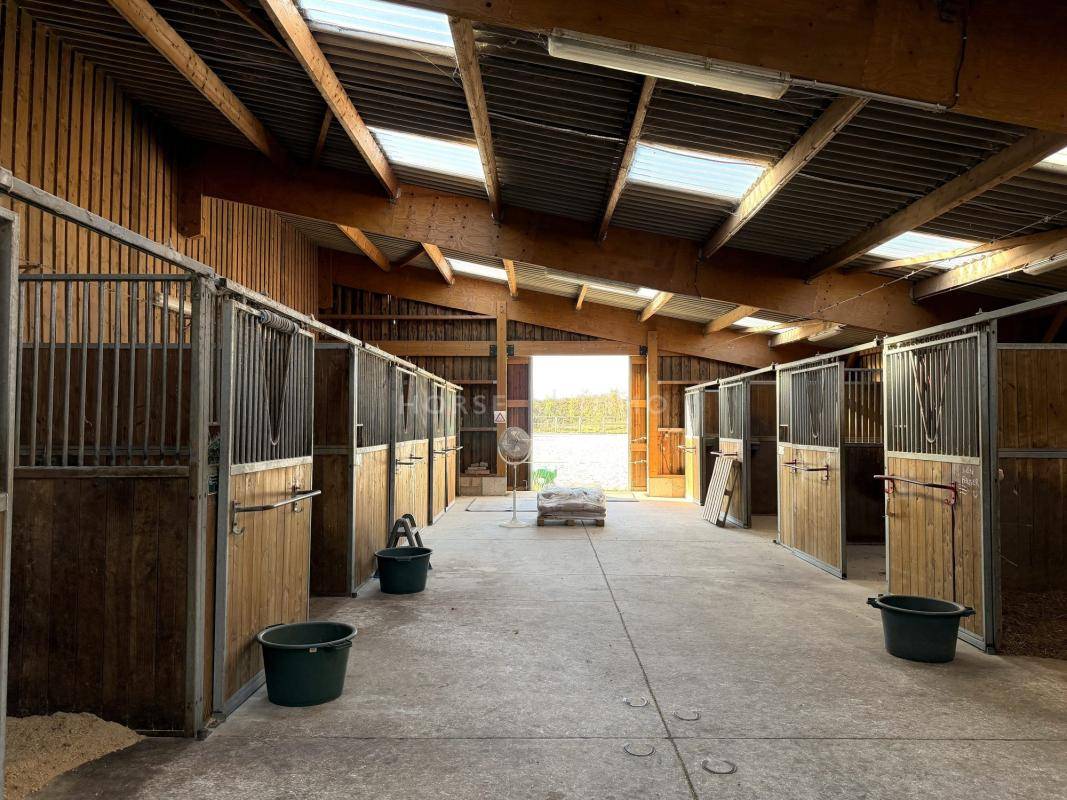 Hippisch vastgoed Koop Yvelines